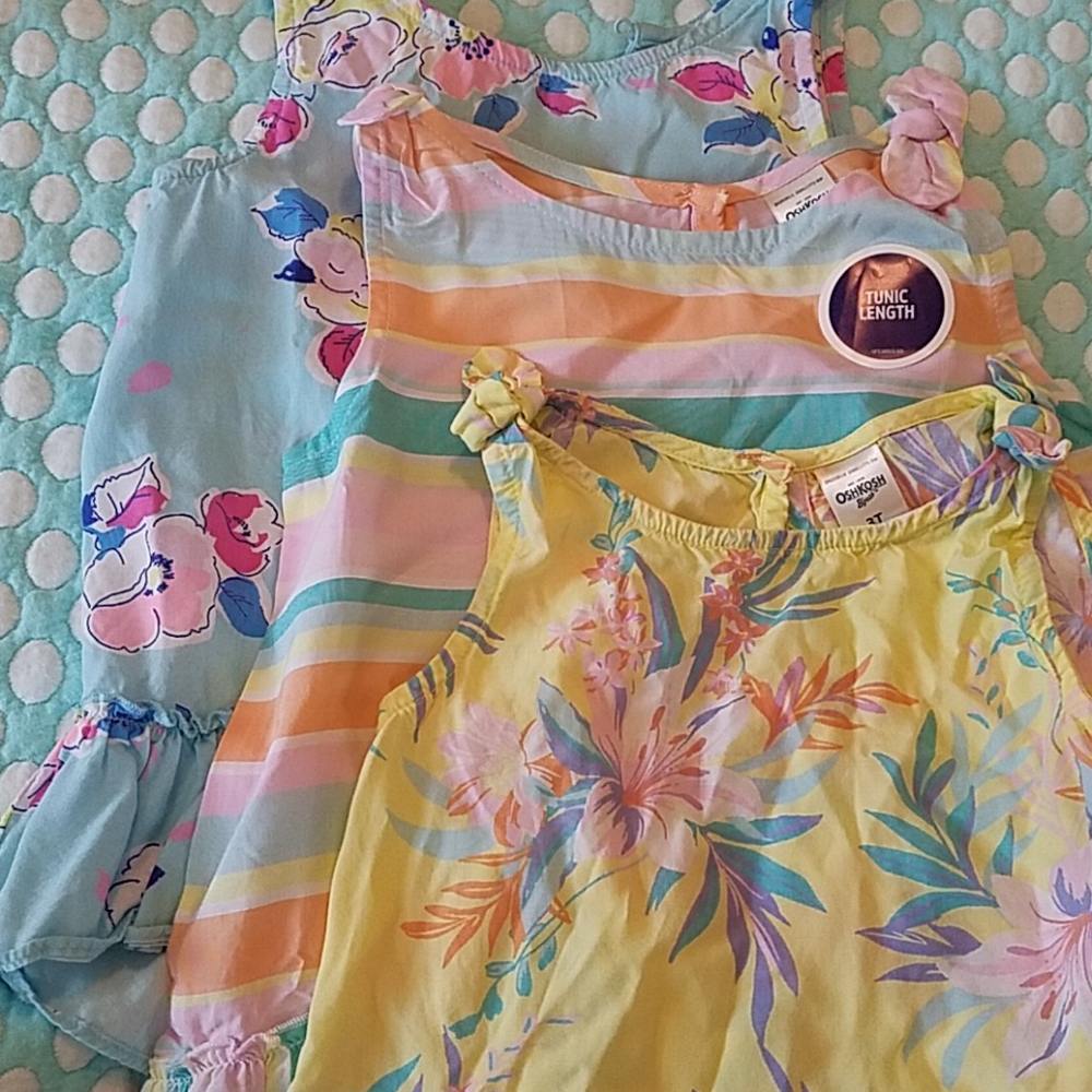 Set of 3 Osh Kosh Toddler shirts